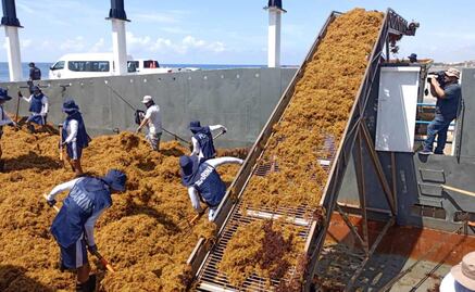 Semar recolecta más de 290 mil toneladas de sargazo en Quintana Roo desde 2019; redoblan esfuerzos contra los efectos negativos de la alga marina