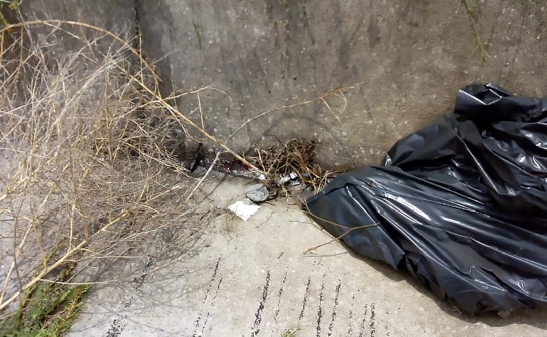 El cadáver fue localizado metido de la cabeza a las rodillas dentro de una bolsa negra. Foto: El Gráfico