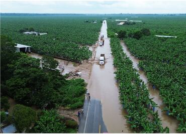 Depresión tropical Nadine deja desbordamientos y daños en Tabasco; 41 escuelas afectadas y suspensión de agua potable