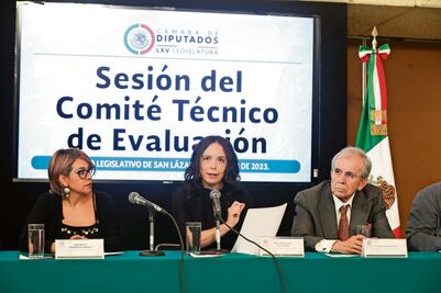 Perfiles para el INE: preocupa parcialidad