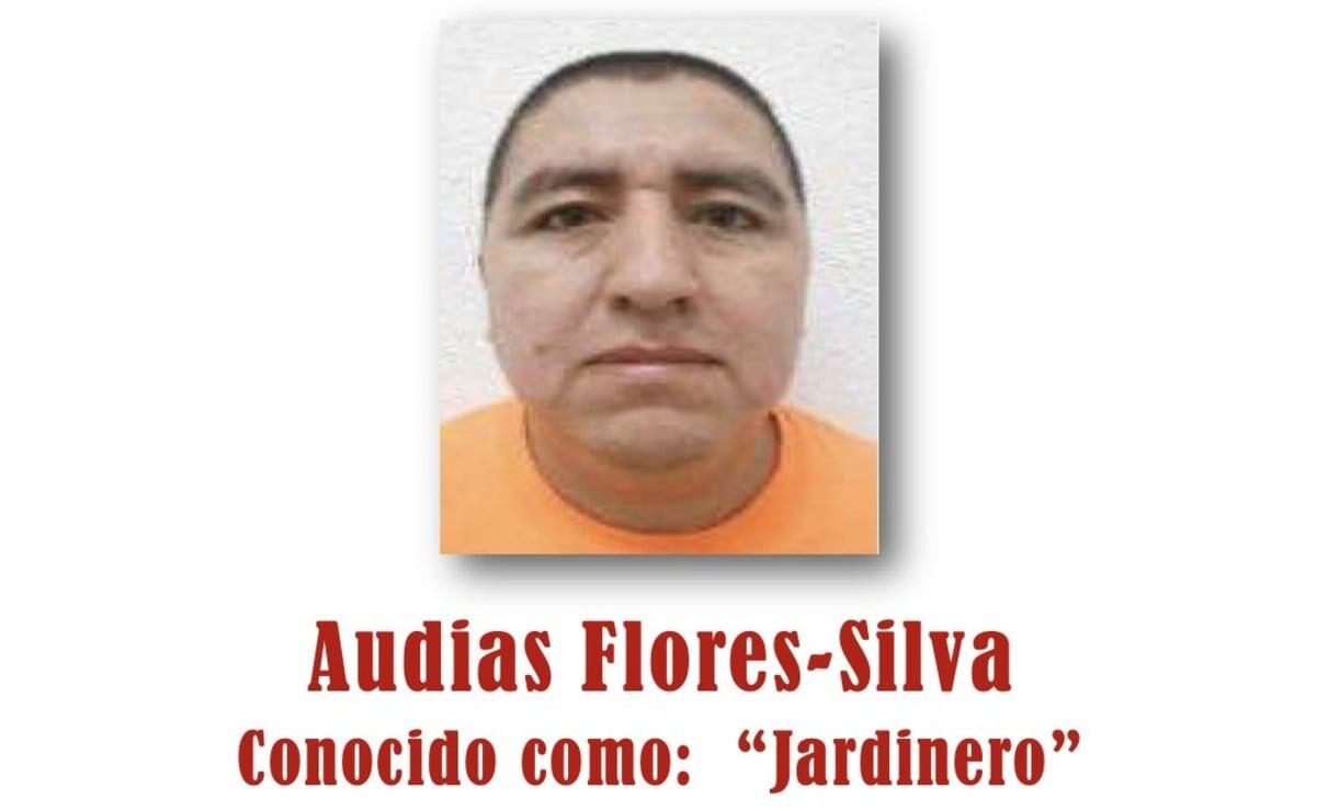 El embajador de Estados Unidos en México, Ronald Johnson, expresó este lunes un reconocimiento al gobierno mexicano por la captura de Audias Flores Silva, alias 