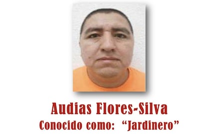 Ronald Johnson reconoce al gobierno de México por captura de "El Jardinero"; aprecia valentía de la Semar, dice