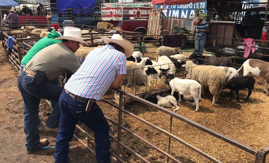 Mercado de animales en Ozumba: priva la desinformación por la actividad del volcán. Foto. Emilio Fernández