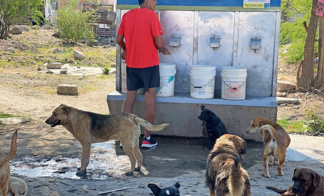 Juan procura a alrededor de 70 perros que recogió de la calle; su nobleza nació hace 15 años cuando empezó a brindar vivienda y alimento a los canes sin dueño. Foto: Xóchitl Álvarez / EL UNIVERSAL