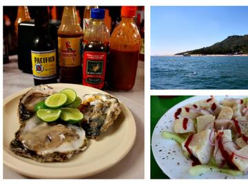 Los mejores aguachiles están en Mazatlán