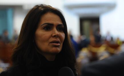 Diputada de Morena pide licencia para encabezar Agencia de Protección Animal