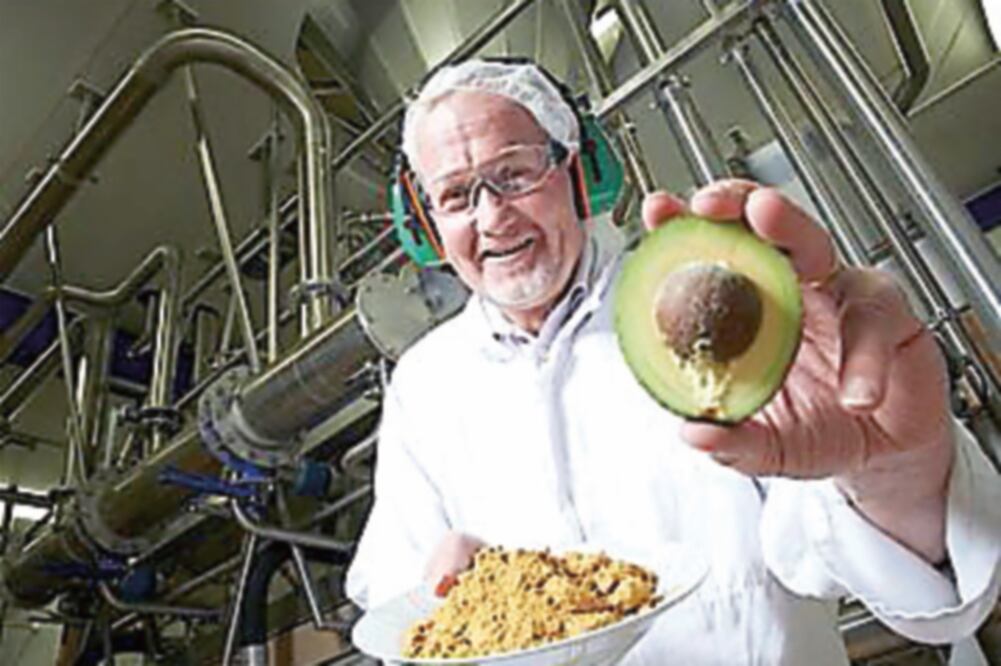 La empresa Biofase nació en 2012 y su resina extraída del hueso del aguacate se usa para la fabricación de desechables y para cualquier empresa de transformación del plástico, aseguran (FOTOS: CORTESÍA)