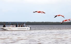 Yucatán prevé ocupación hotelera de hasta 70% en verano; esperan superar cifras de 2025