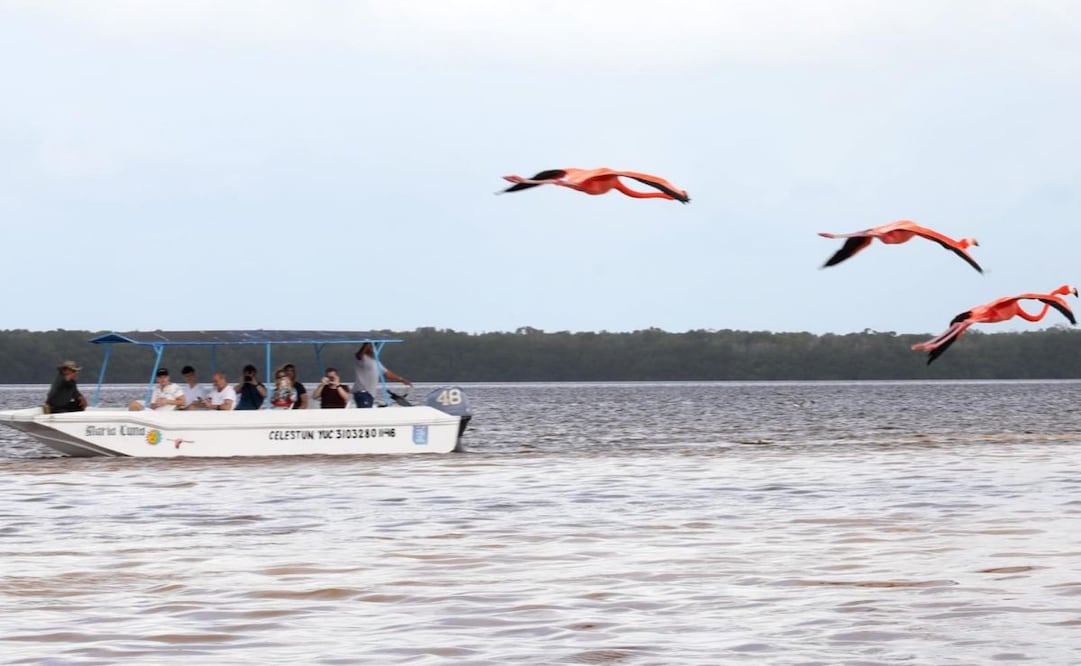 Yucatán prevé ocupación hotelera de hasta 70% en verano; esperan superar cifras de 2025.
Foto: Especial.