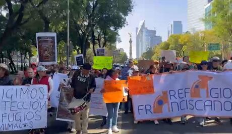 "Fue despojo, no rescate"; protestan animalistas en Reforma tras retiro de 936 animales del Refugio Franciscano
