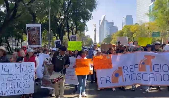 "Fue despojo, no rescate"; protestan animalistas en Reforma tras retiro de 936 animales del Refugio Franciscano