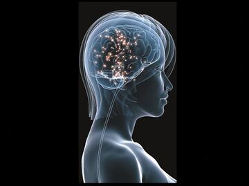 Un estudio revela que utilizar el GPS para orientarse apaga zonas del cerebro