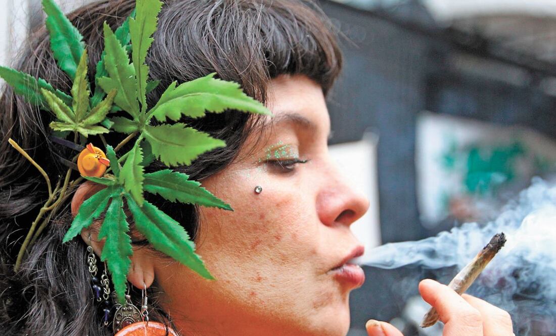 El cannabis, mejor conocida como marihuana, se utiliza con fines recreativos y médicos - Foto: Mario Guzmán/EFE