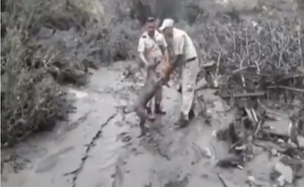 Perrito rescatado del lodo agradece a sus salvadores