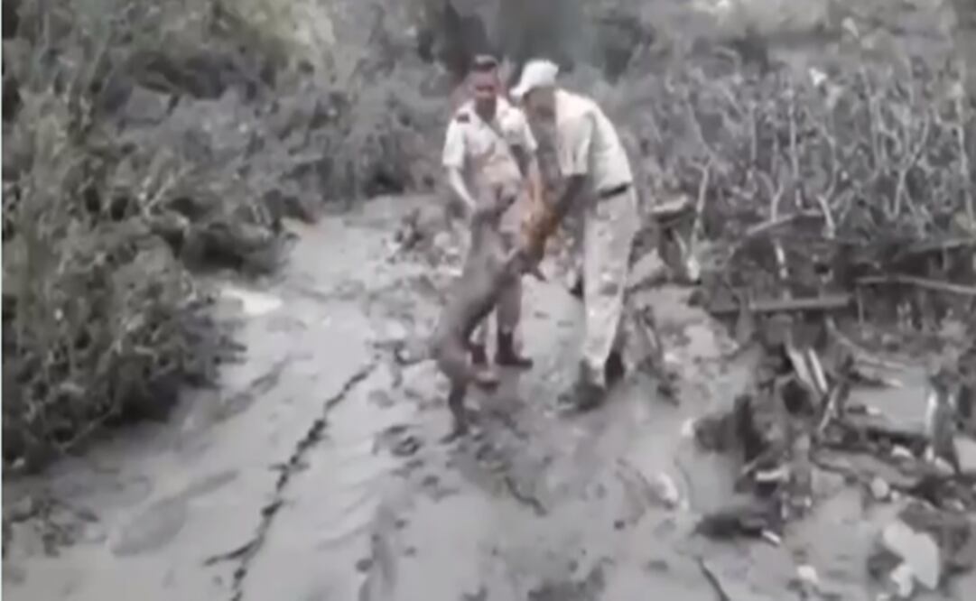 Foto: Captura de video 