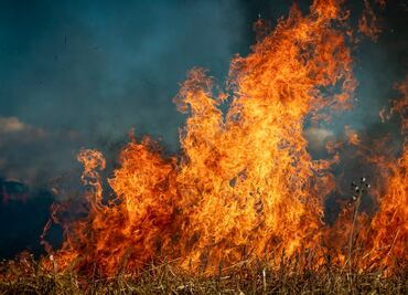 Incendios forestales en Hawái provocan desalojos; llamas destruyen destino turístico