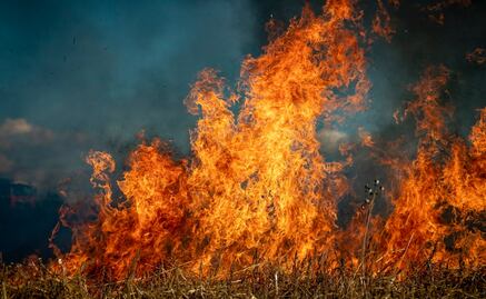 Evacúan en Canadá a cientos de personas, incluyendo presos, por incendios forestales