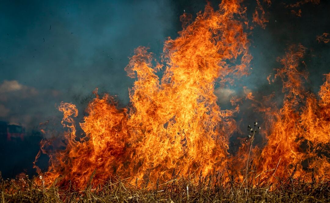 Alberta ha estado experimentando una primavera seca y calurosa. Foto: Pixabay