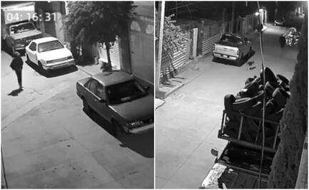 VIDEO: ¡Héroe perruno! Lomito evita robo en Tultitlán