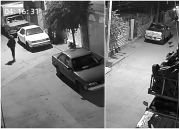 VIDEO: ¡Héroe perruno! Lomito evita robo en Tultitlán