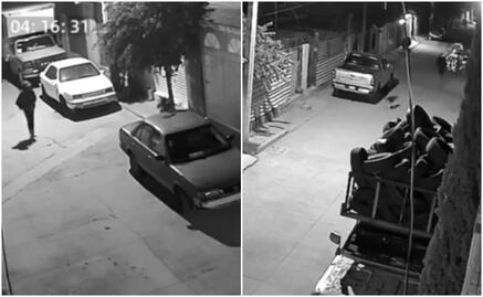 VIDEO: ¡Héroe perruno! Lomito evita robo en Tultitlán