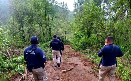 Localizan cinco fosas con restos humanos en Chilchota, Michoacán