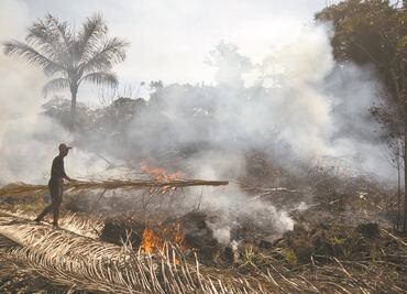 Amazonía, una víctima de la política