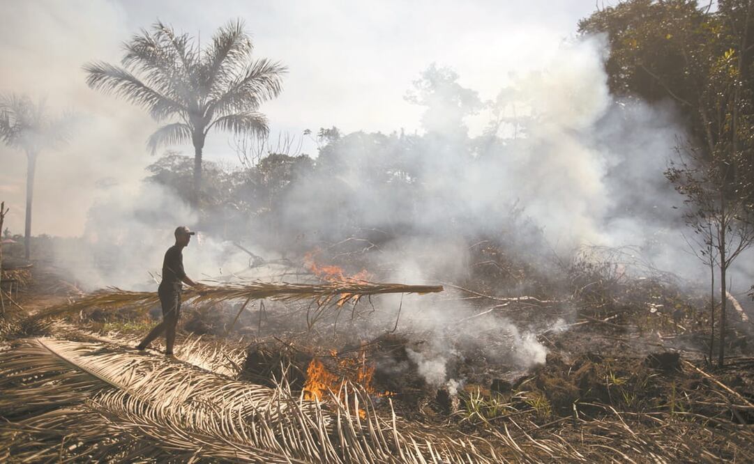 La selva nacional de Jacundá, en Rondonia, cerca de Porto Velho, tiene un asentamiento creciente. En la imagen prendieron fuego para hacer espacio para las casas y un lugar para la agricultura. Foto: Brenno Carvalho. Agencia O Globo