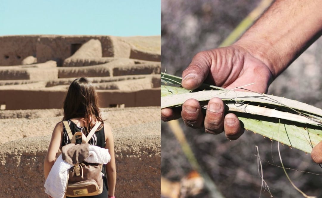 Foto: Cortesía/ Sotol destilado