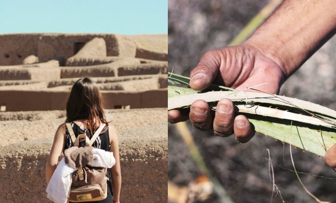 Foto: Cortesía/ Sotol destilado