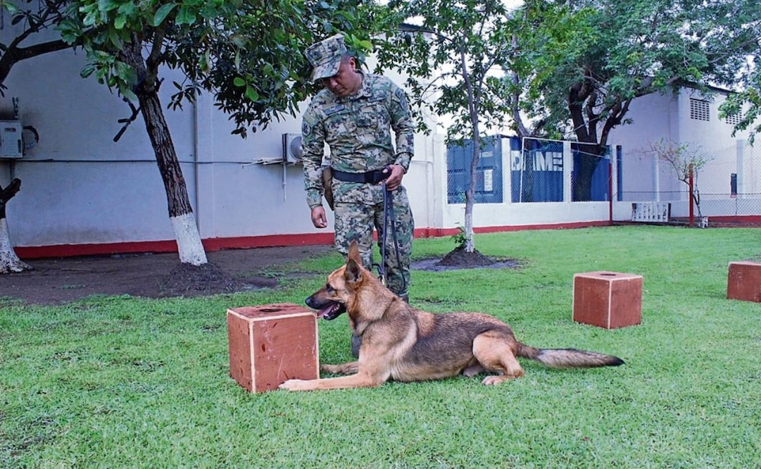 Hacen equipo para detectar sustancias prohibidas