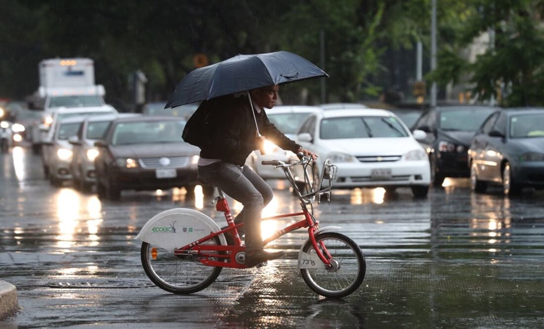 Foto: Diego Simón Sánchez/EL UNIVERSAL