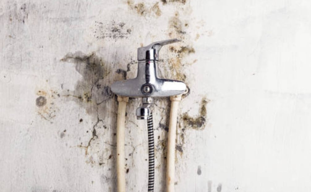 La acumulación de humedad acelera el deterioro de las superficies. Foto: iStock