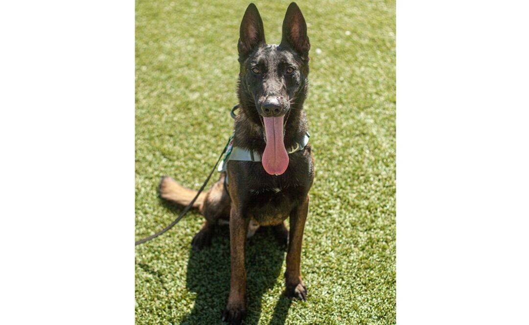 Foto: @Enrique_Clausen