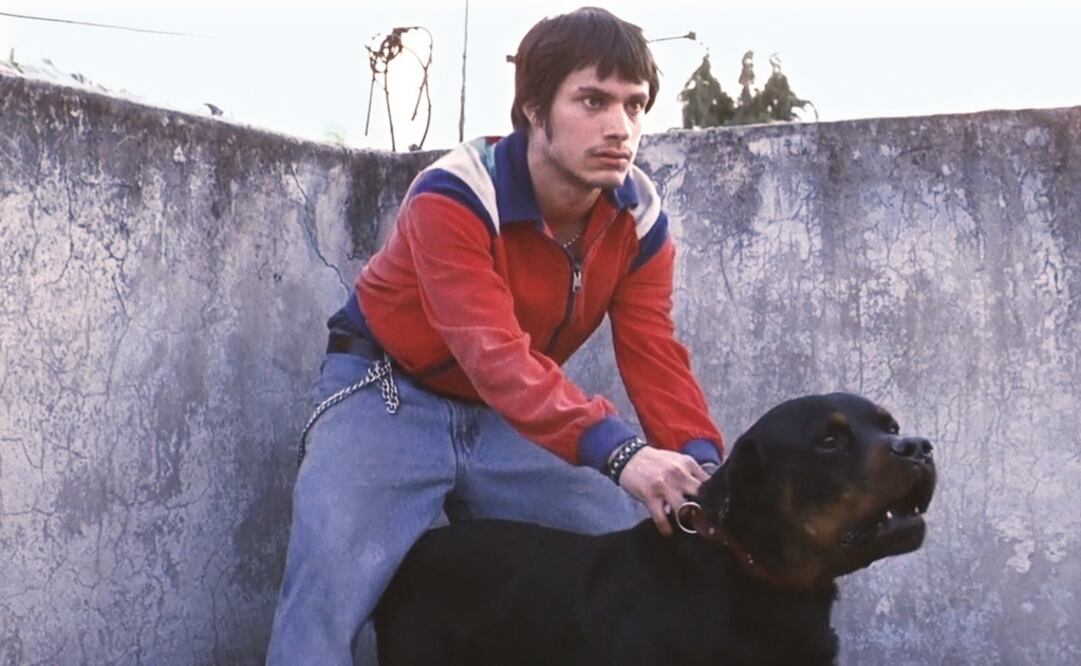 Gael García Bernal. Foto: Archivo