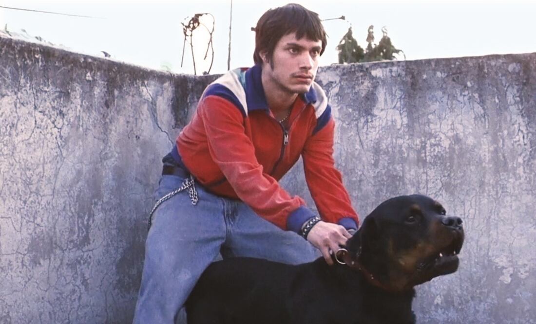Gael García Bernal. Foto: Archivo