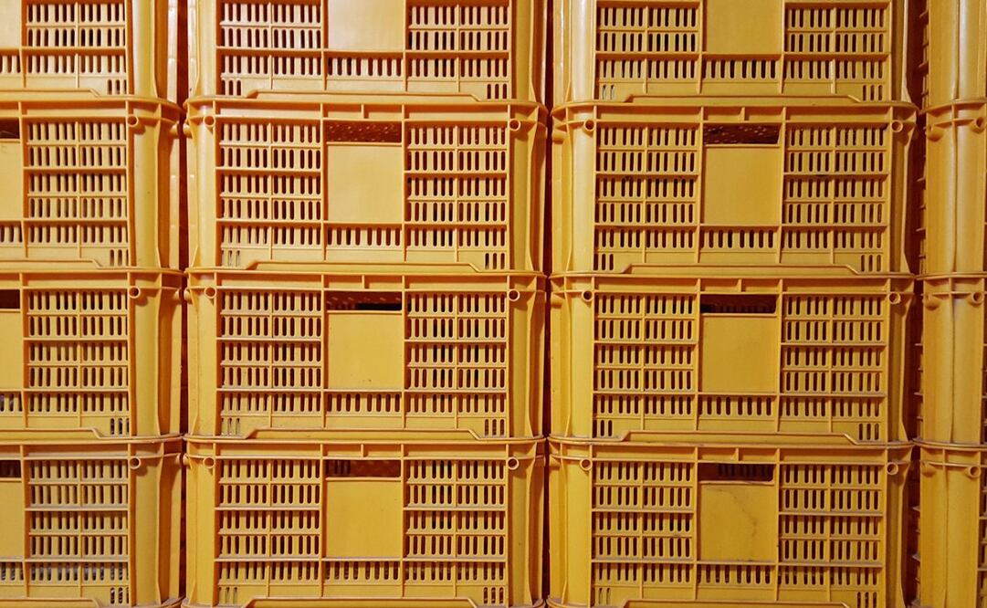 FOTO: Imagen ilustrativa / Pixabay