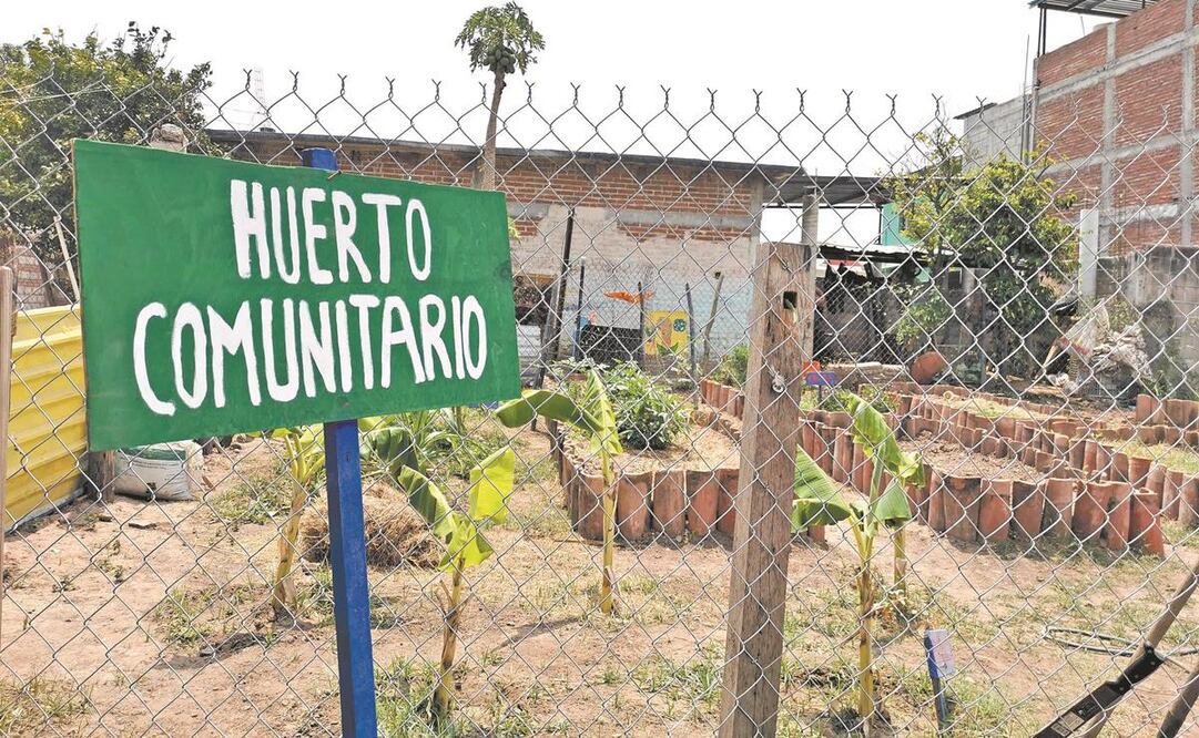 El rescate de los huertos también implica involucrar a las personas de la tercera edad, ya que son quienes poseen mayores conocimientos. Foto: Roselia Chaca/EL UNIVERSAL