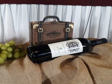 Ya comenzaron las fiestas de la vendimia Guanajuato 2019