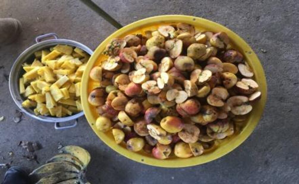 Así se elabora el mezcal de pechuga en Santa Catarina Minas