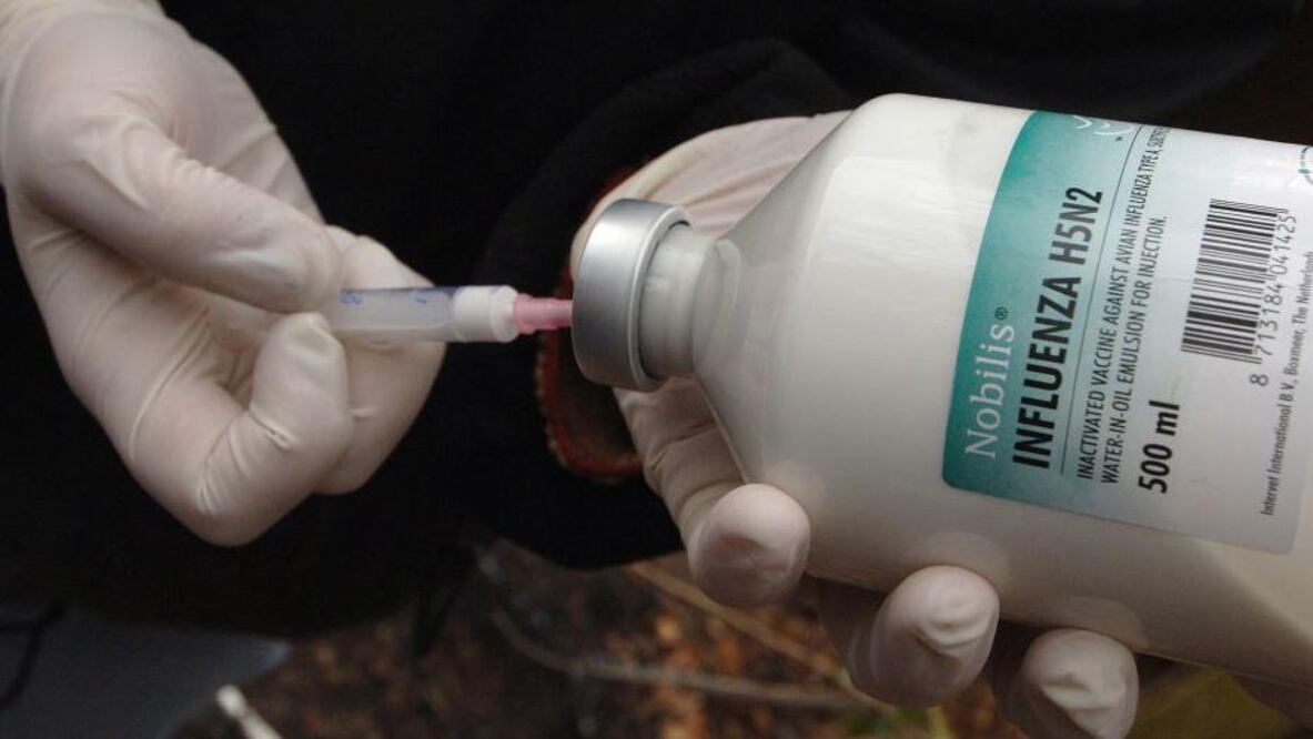 La ayuda apoyará el desarrollo en la última etapa de una vacuna basada en ARNm que permita obtener la licencia de una vacuna prepandémica contra el virus de la influenza H5.