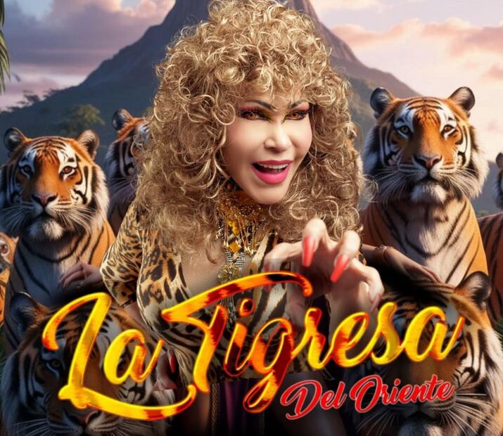 La Tigresa del Oriente fue conocida en los años 2000  como ‘la reina de YouTube’, pues sus temas encabezaron las listas de popularidad durante los inicios de la plataforma. Foto: Instagram