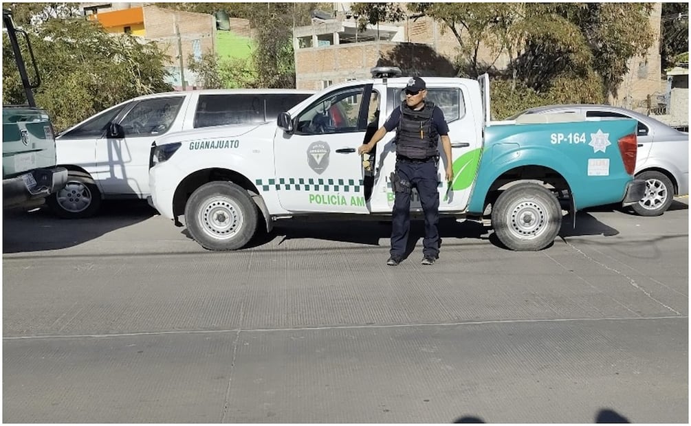 Elementos de Seguridad encontraron a la pantera en la colonia Presa de Rocha, Guanajuato (18/12/2024). Foto: Especial