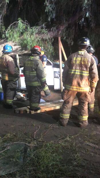 Video. Árbol aplasta combi en Tlalnepantla; chofer muere y una mujer resulta lesionada  