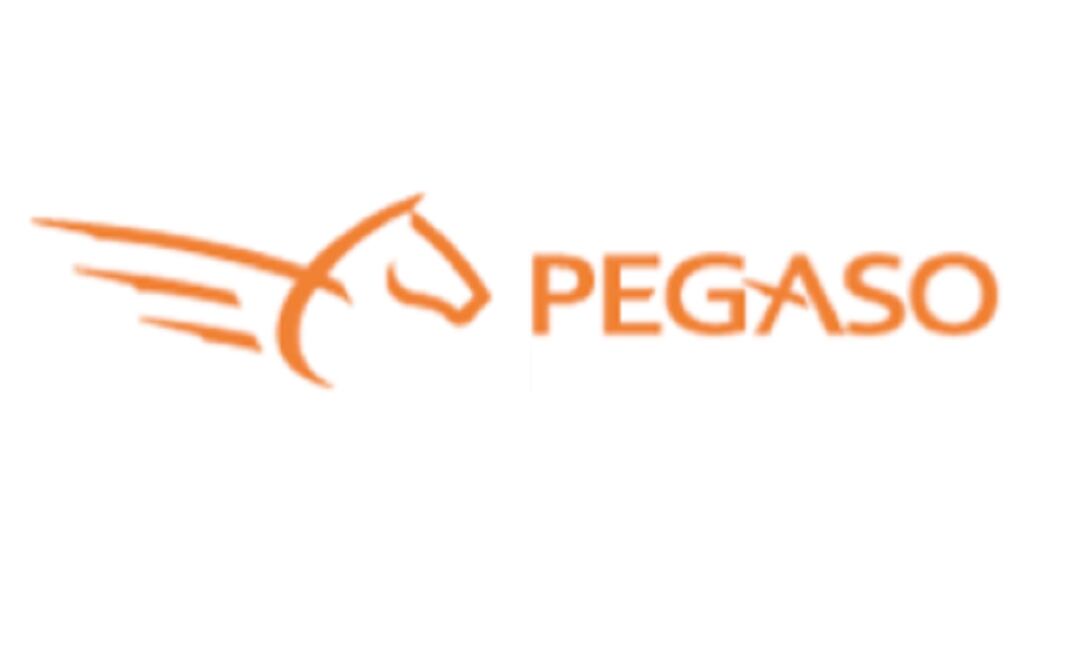 The IFT voted 5 to 2 to impose the fine after hearing Pegaso's arguments. (Photo: Taken from the company's website)