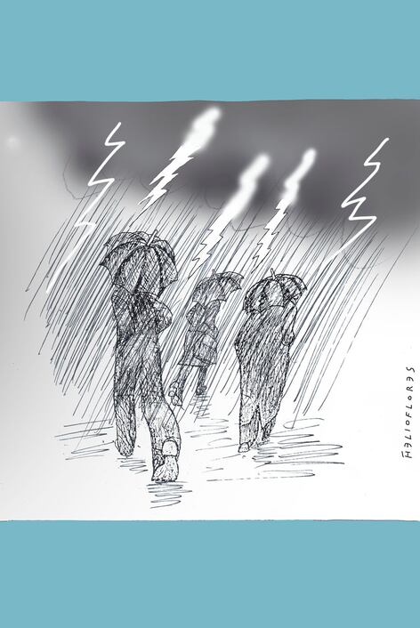 Cartón de HELIOFLORES