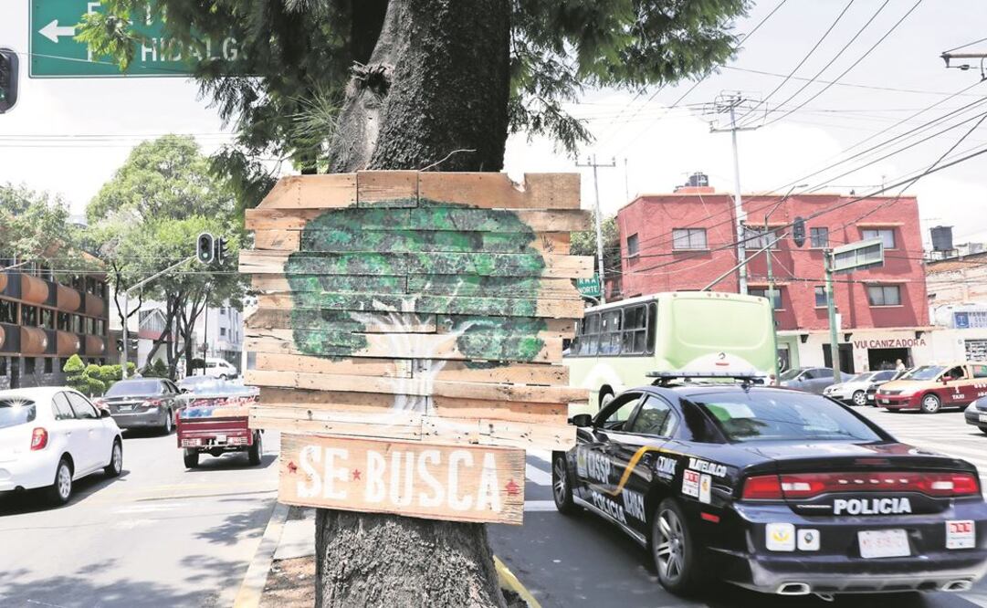 Línea 7 del Metrobús registra obras en calzadas de los Misterios y Ticomán