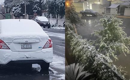 Familias disfrutan de nevada en 7 municipios de Coahuila previo a la entrada de la primavera 