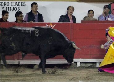 Torera que salió cornada agradece los mensajes de apoyo