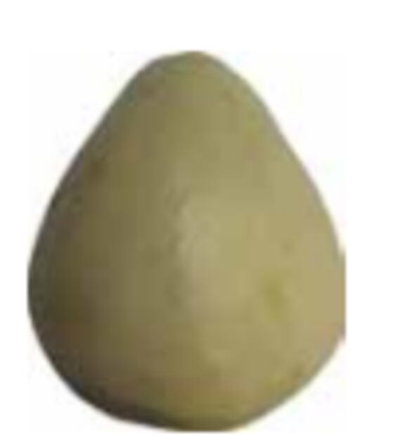 Foto: Grupo Interdisciplinario de Investigación
en Sechium edule en México, A.C.